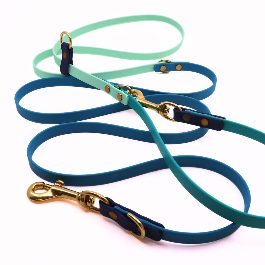 Water Dog Limited Edition Hands Free + Convertible Leash