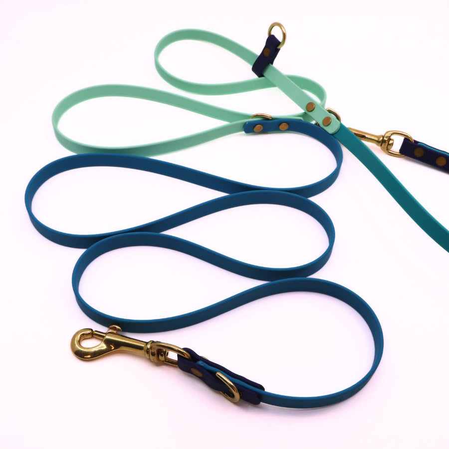 Water Dog Limited Edition Hands Free + Convertible Leash