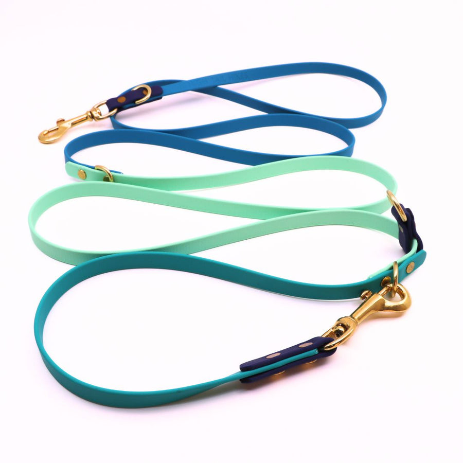 Water Dog Limited Edition Hands Free + Convertible Leash