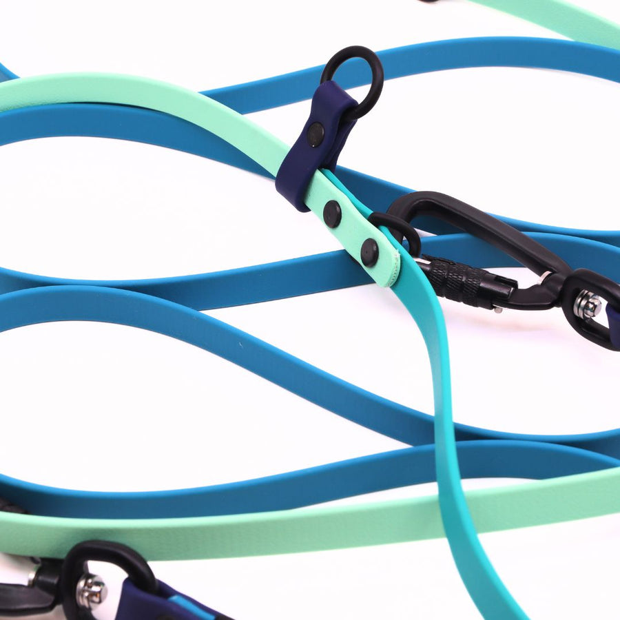 Water Dog Limited Edition Hands Free + Convertible Leash