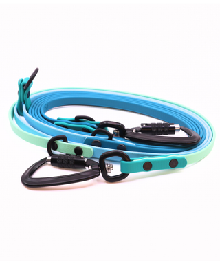 2026 Water Dog Limited Edition Hands Free Multiway Leash