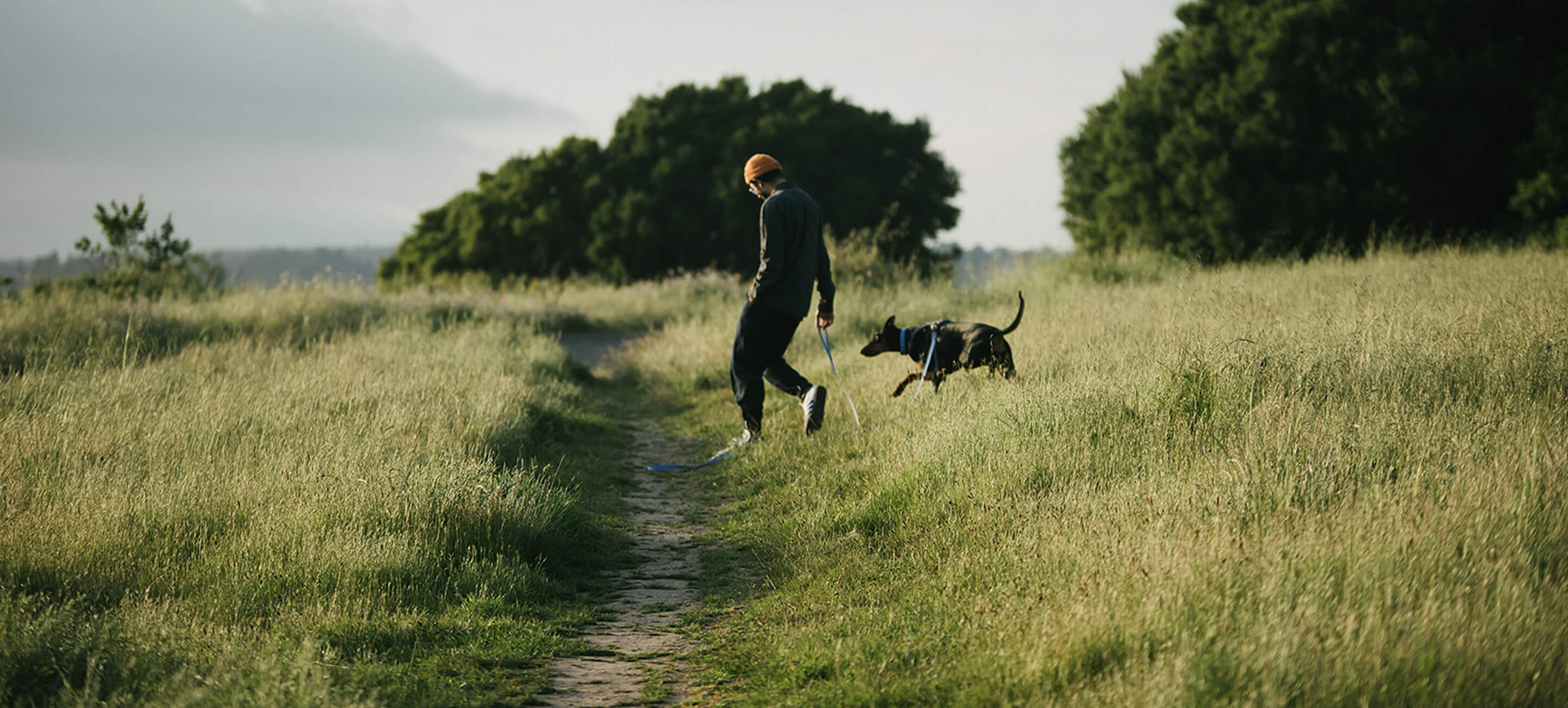 Man walking with a dog on a path through a grassy field with trees in the background