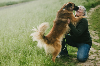Woman playing with a dog in a grassy field