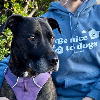 Be Nice to Dogs Hoodie