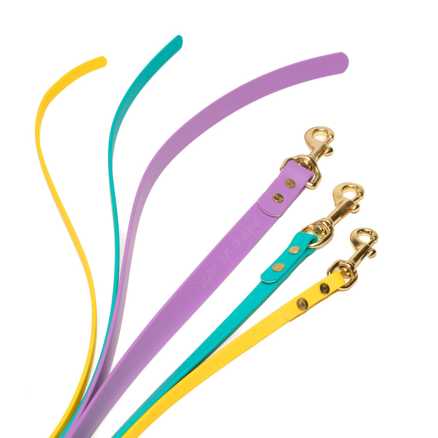 three biothane dog leashes in various sizes and colors with brass hardware on white background