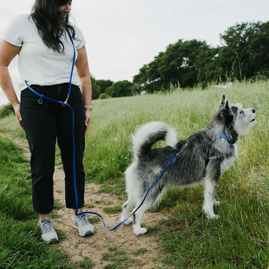 Woman walking a husky dog on a waterproof leash in a grassy field