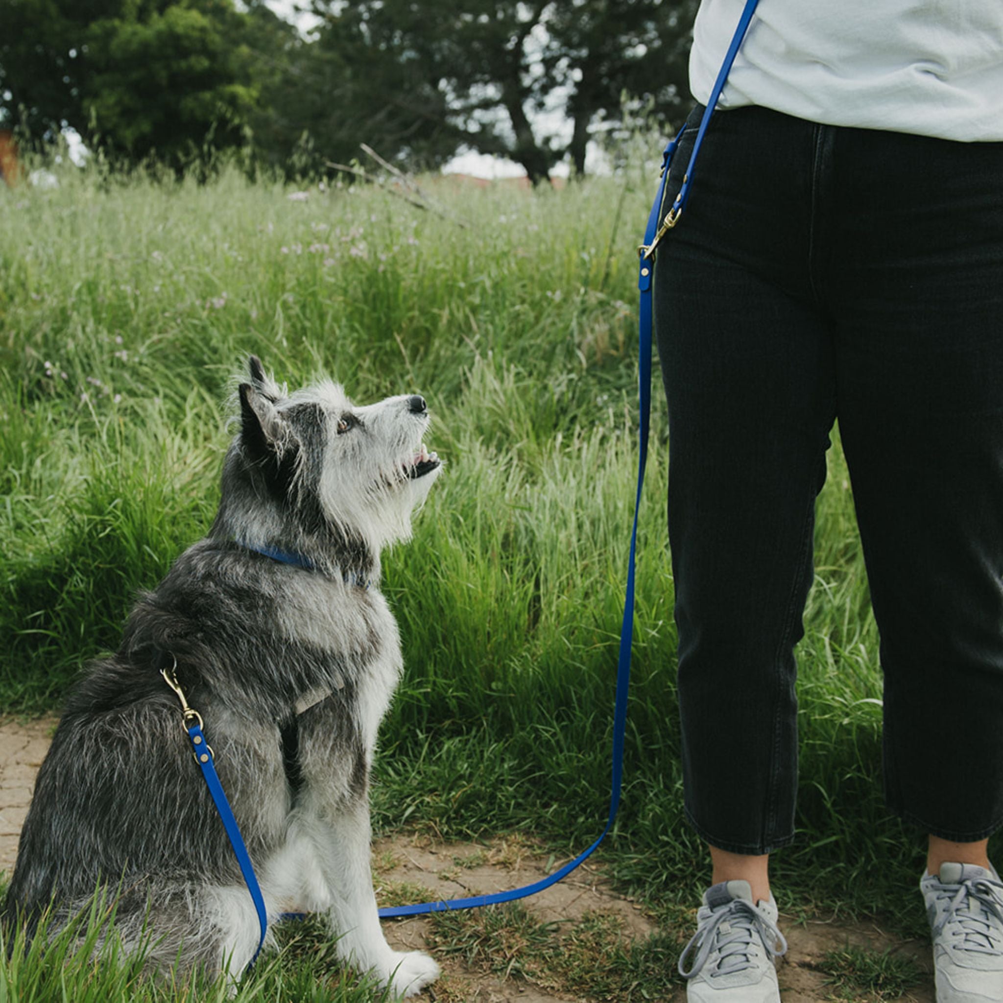 Hands Free Dog Leash – High Tail Hikes