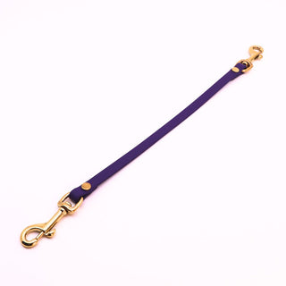 BioThane Safety Strap - Classic Brass