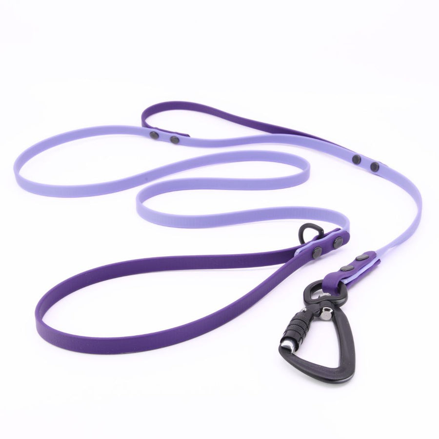 Custom Sport Leashes + Long Lines - Small Dogs (3/8")