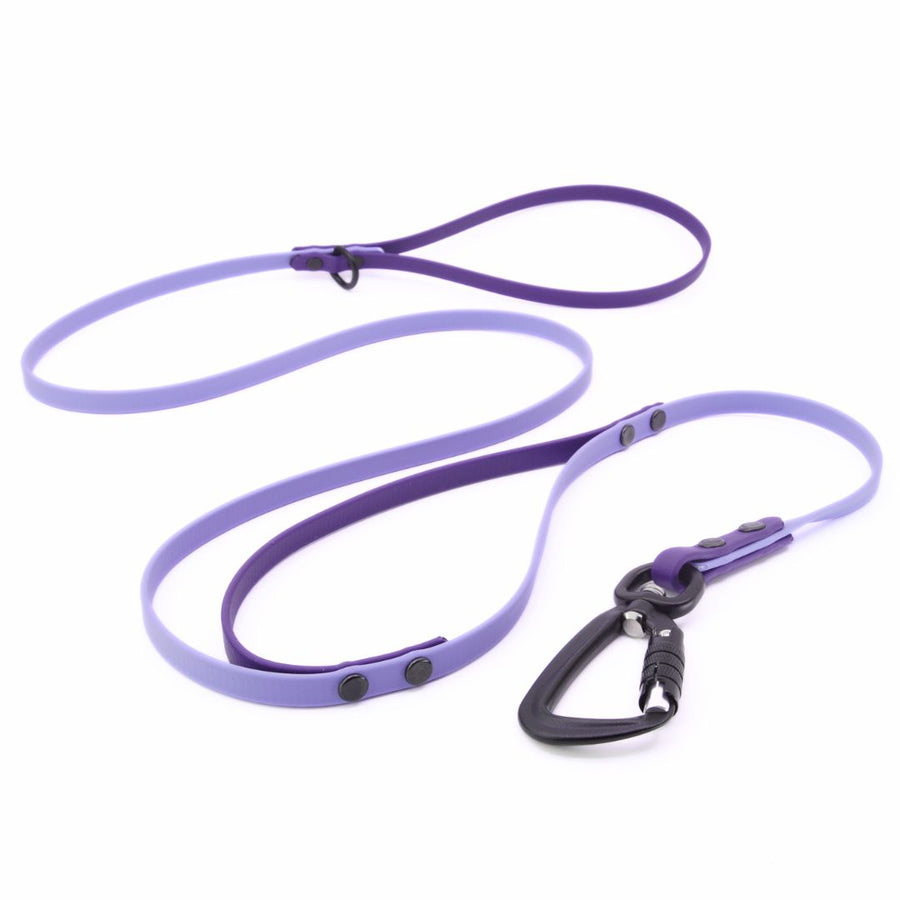 Custom Sport Leashes + Long Lines - Small Dogs (3/8")