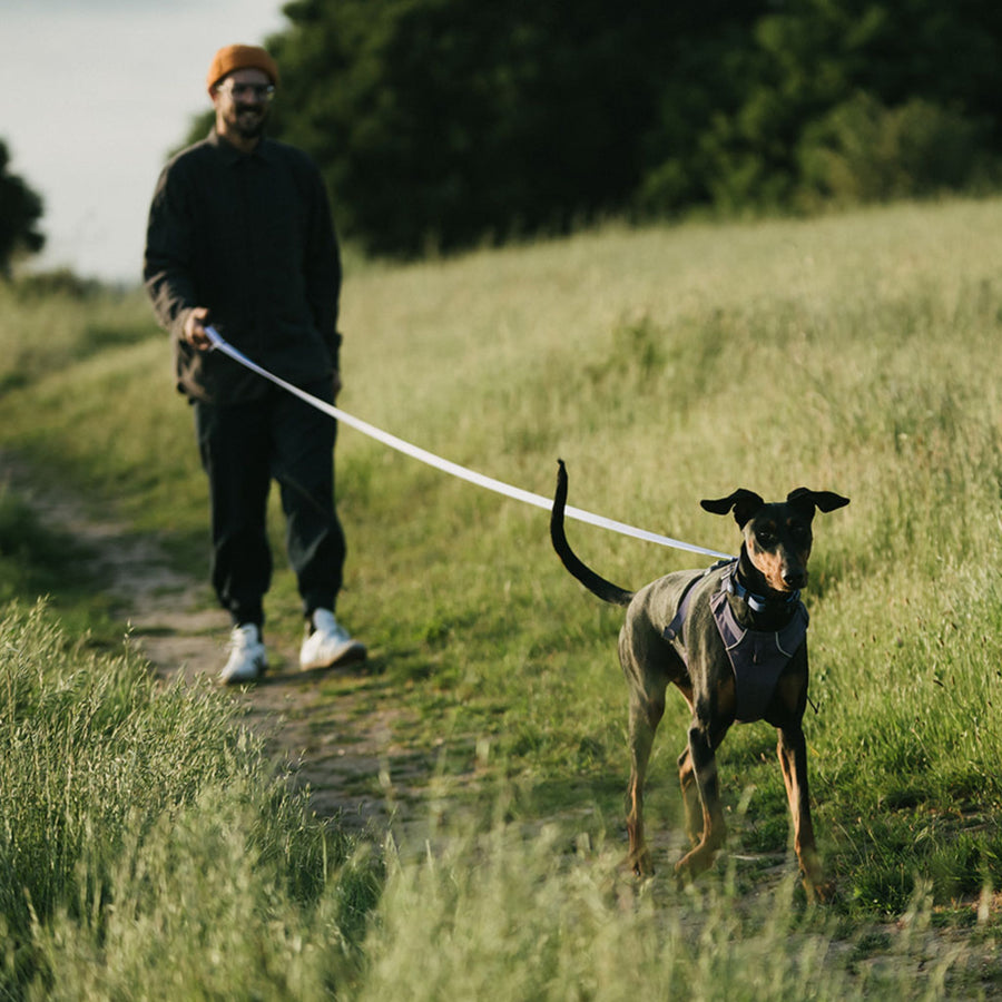 Man walking a dog on a waterproof leash through a grassy field
