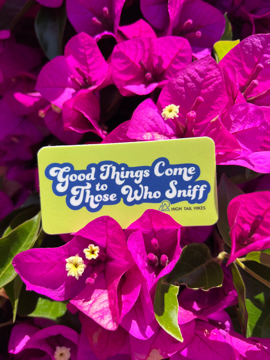 yellow rectangle stick that says "Good Things Come to Those Who Sniff" laying on pink flowers