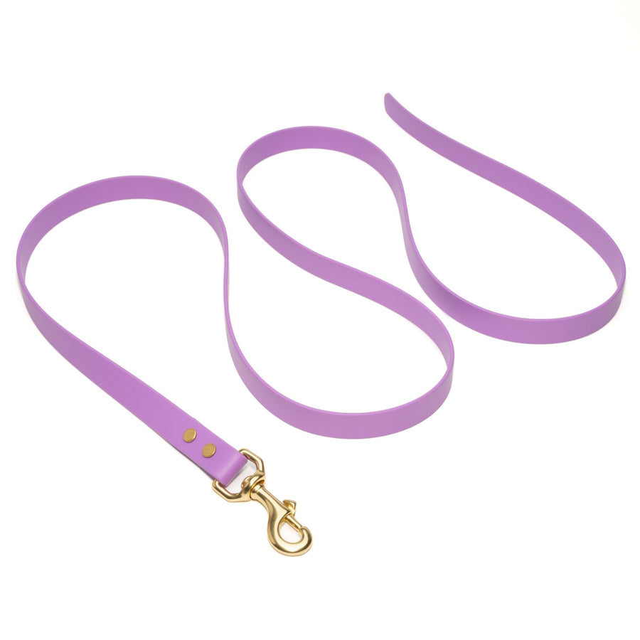 large waterproof biothane dog leash drag line with brass hardware on a white background