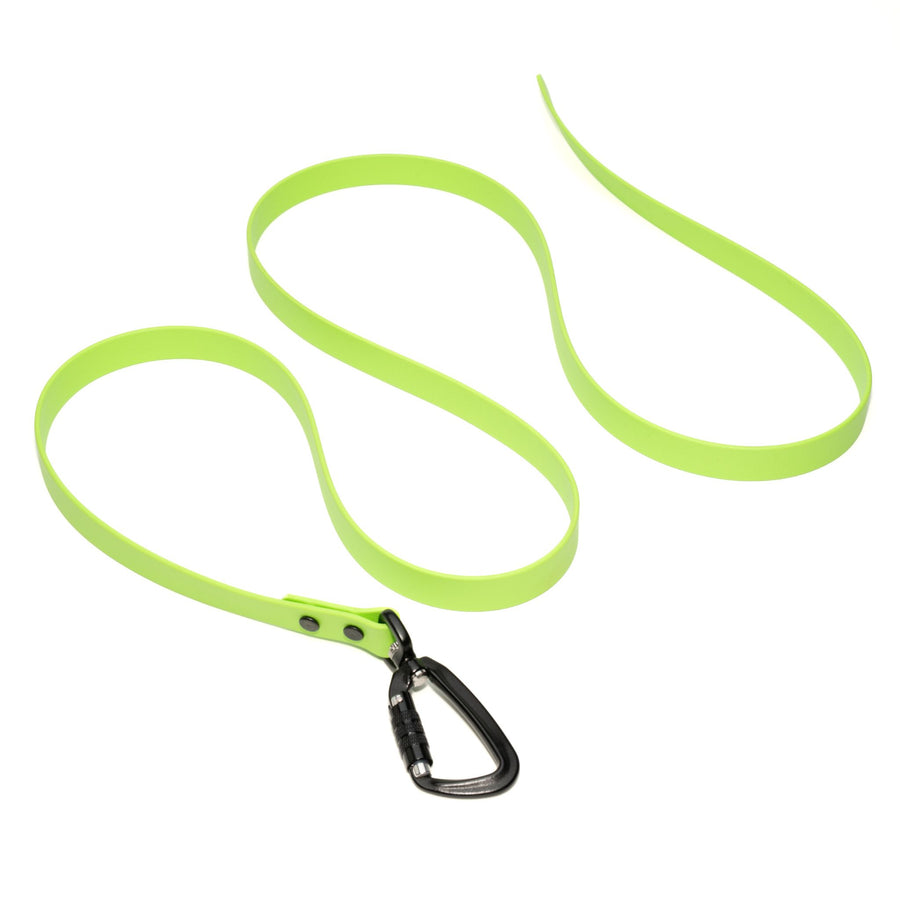 Bright green waterproof biothane dog leash with a black carabiner on a white background
