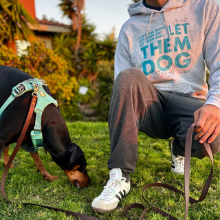 Let Them Dog Hoodie