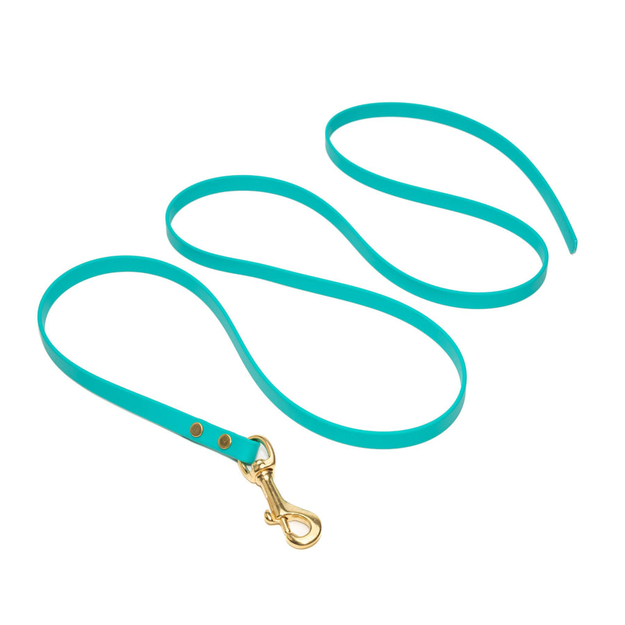 medium brass hardware waterproof biothane dog leash drag line in teal on white background