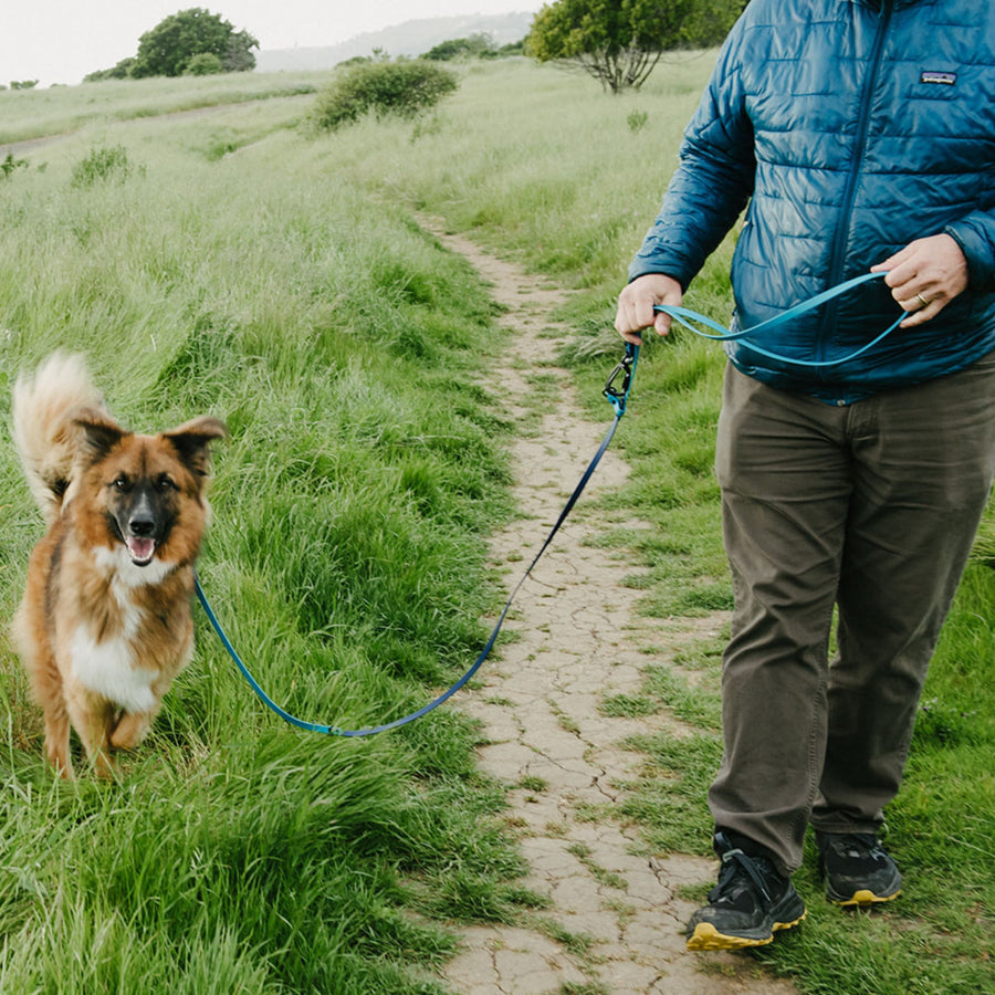 brown fluffy dog walking in a grassy field next to a person in a blue jacket holding a waterproof biothane dog leash