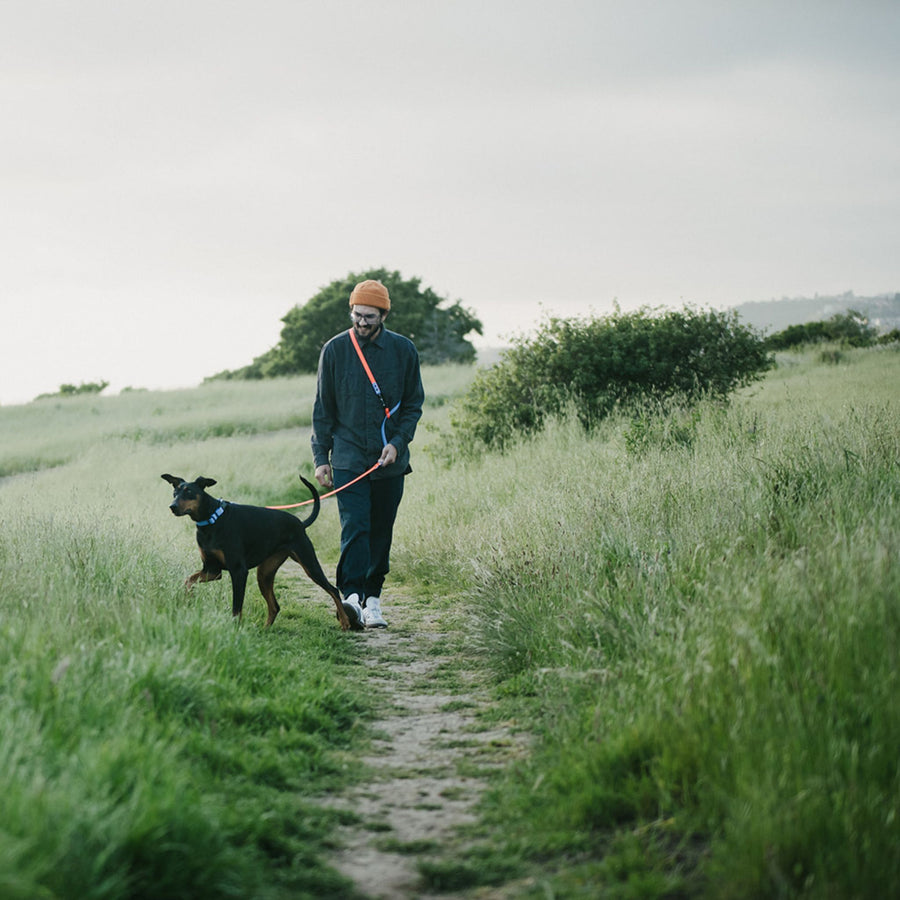 Man walking a dog on a hands-free leash through a grassy field