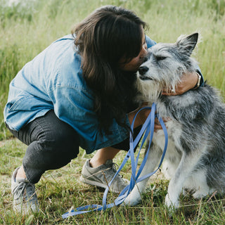Person in a blue shirt hugging a gray dog holding a biothane leash in a grassy field