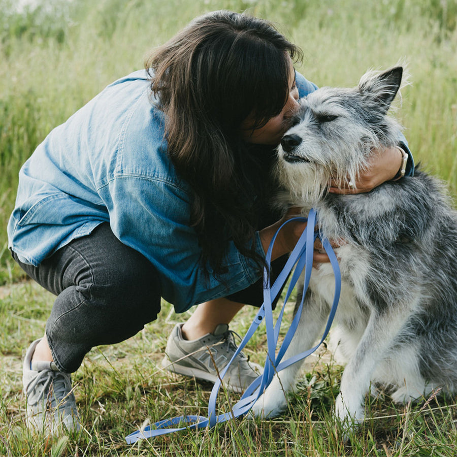 Person in a blue shirt hugging a gray dog holding a biothane leash in a grassy field