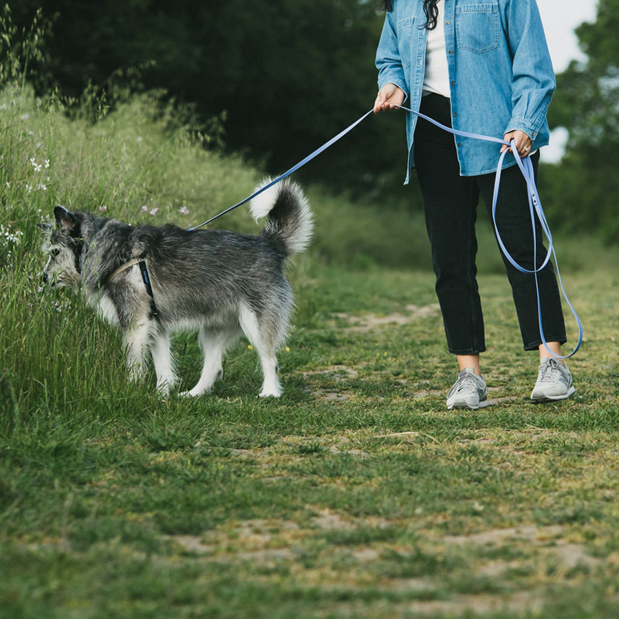 Person walking a grey dog on a waterproof leash in a park