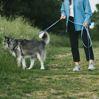 Person walking a dog on a waterproof leash in a grassy outdoor setting