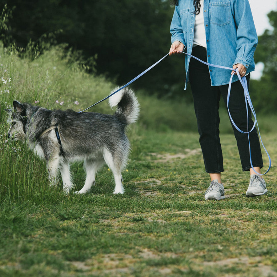 Person walking a dog on a waterproof leash in a grassy outdoor setting