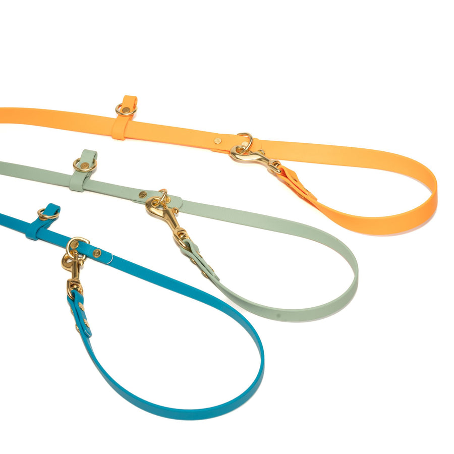 Set of colorful waterproof dog leashes with brass clasps on a white background