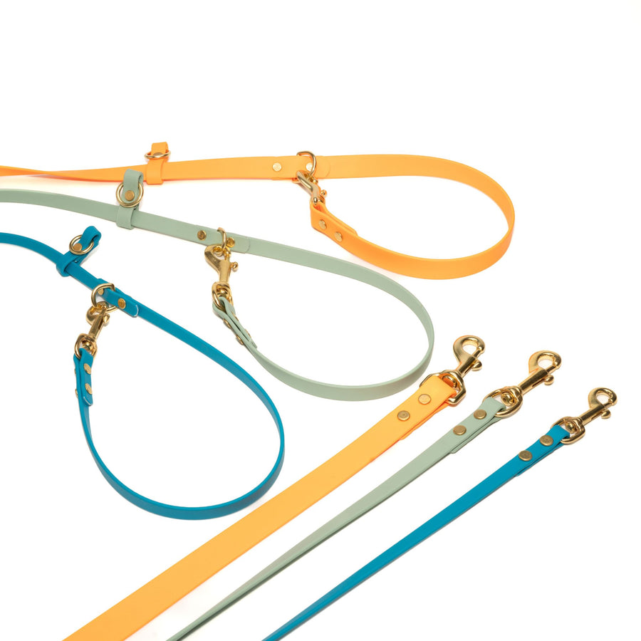 Set of colorful waterproof dog leashes with brass clasps on a white background