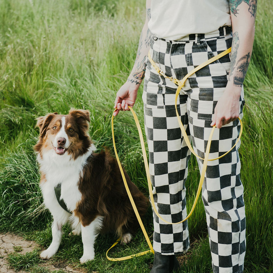 Person in checkered pants holding a dog on a yellow hands-free leash in a  grassy field