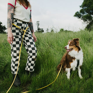 Person in checkered pants standing in a grassy field with a dog on a yellow hands-free waterproof leash.