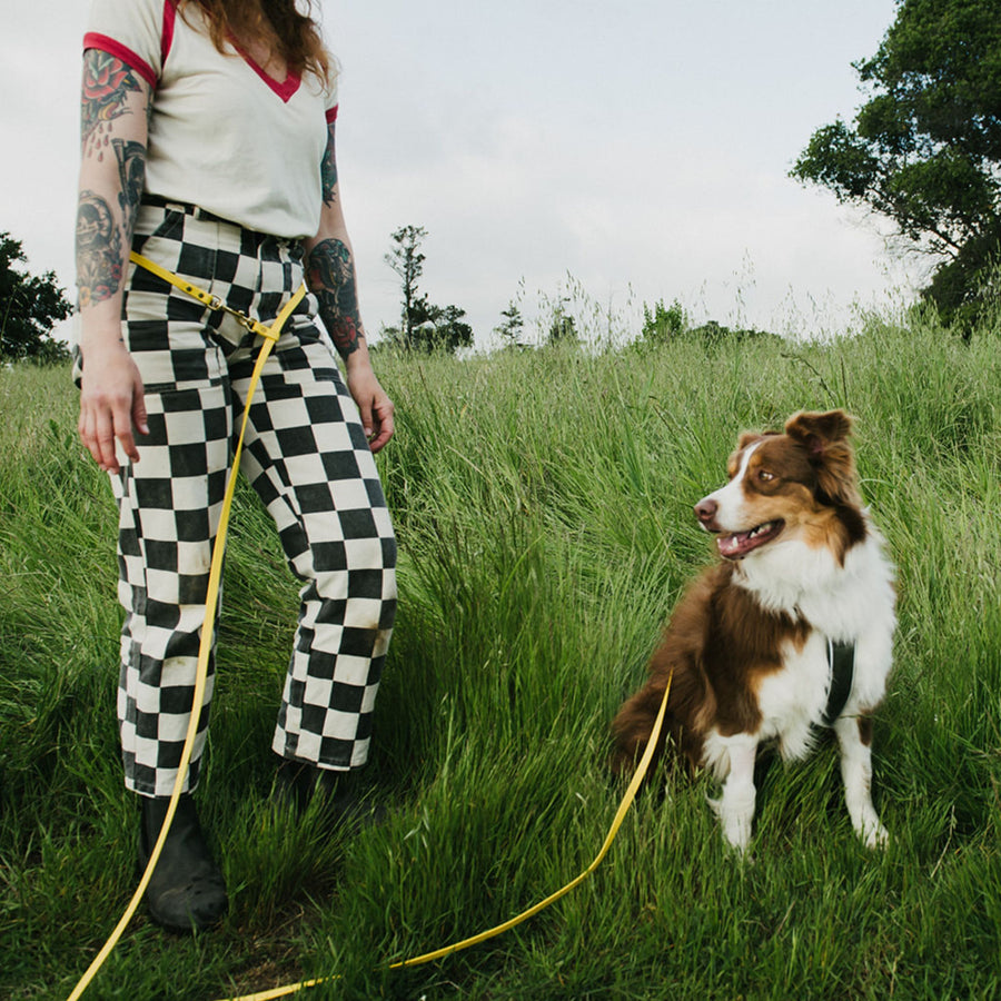 Person in checkered pants standing in a grassy field with a dog on a yellow hands-free waterproof leash.