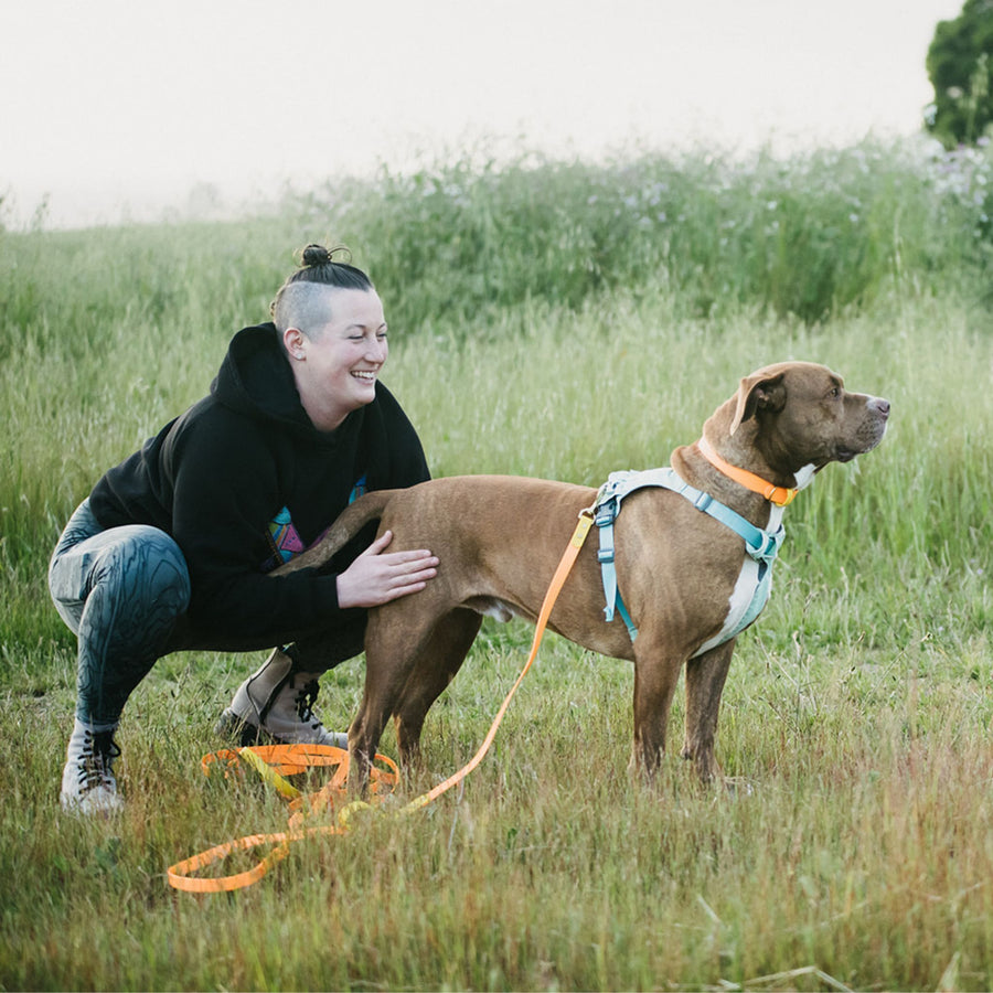 Woman petting a brown dog wearing a waterproof leash in a grassy field