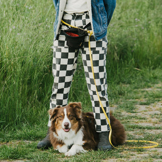 Person wearing checkered pants with a dog on a yellow biothane leash in a grassy area