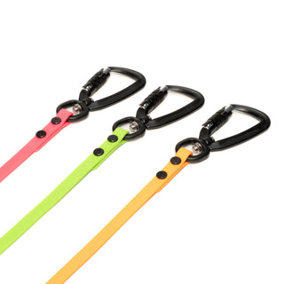 Three colorful biothane dog leashes with carabiners on a white background