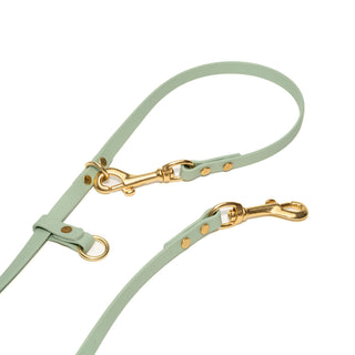 light green waterproof biothane dog leash with brass hardware on white background