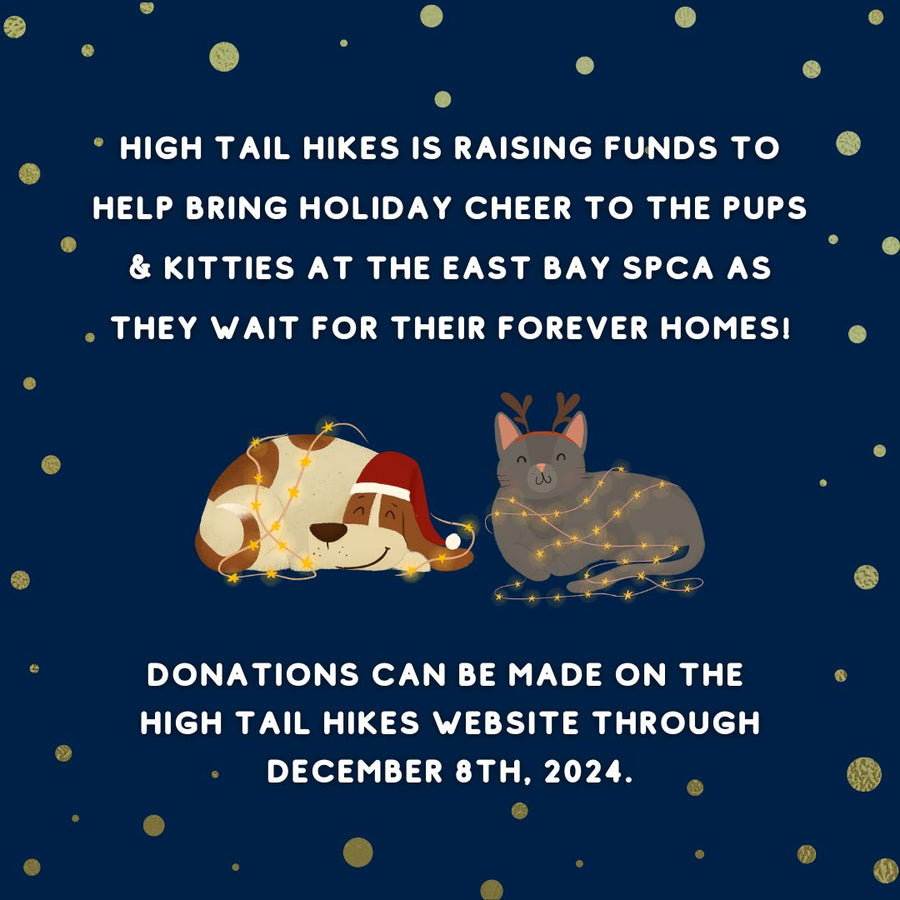 Donate to Our Holiday Fundraiser to the East Bay SPCA!