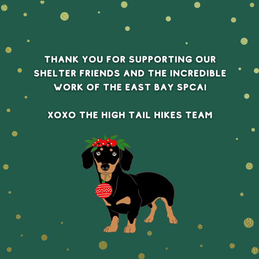 Donate to Our Holiday Fundraiser to the East Bay SPCA!