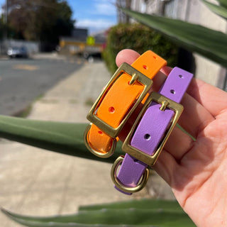 BioThane Collar for Small Dogs (5/8" Width) - Classic Brass