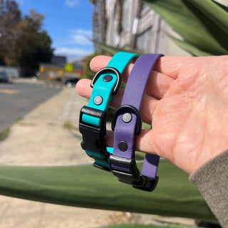 BioThane Collar for Small Dogs (5/8" Width) - Sport