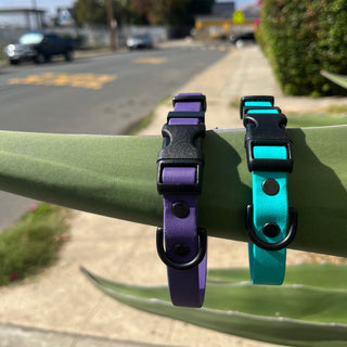 BioThane Collar for Small Dogs (5/8" Width) - Sport