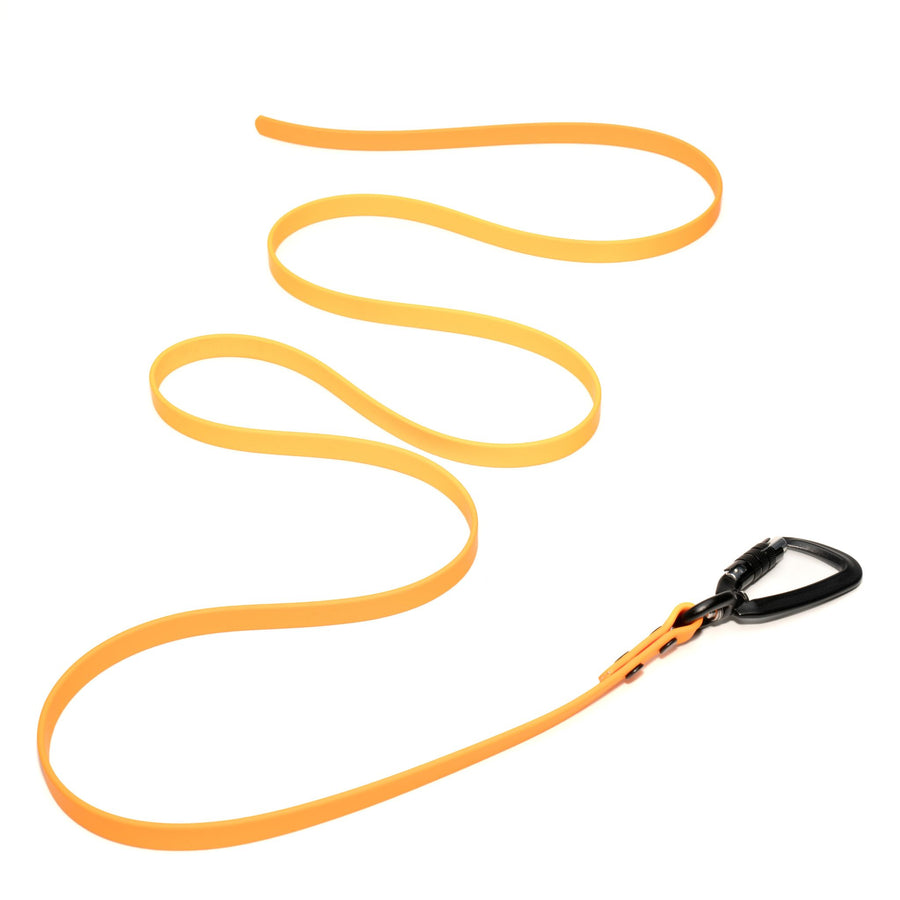 Orange waterproof biothane dog leash with a black clip on a white background
