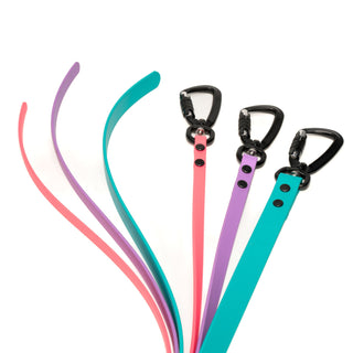 Set of colorful waterproof dog leashes with black metal clasps on a white background in three sizes