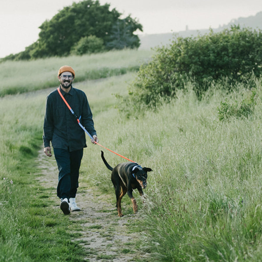 Man walking a dog on a waterproof hands free leash through a grassy field
