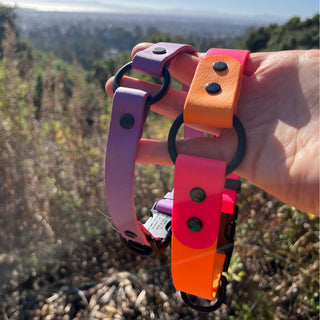 BioThane O Ring Collar - Sport (Quick Release Buckle)