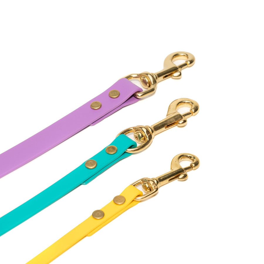 Three colorful biothane leashes with brass hardware on a white background