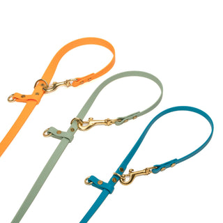 Set of colorful waterproof dog leashes with brass clasps on a white background