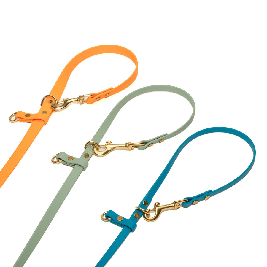 Set of colorful waterproof dog leashes with brass clasps on a white background