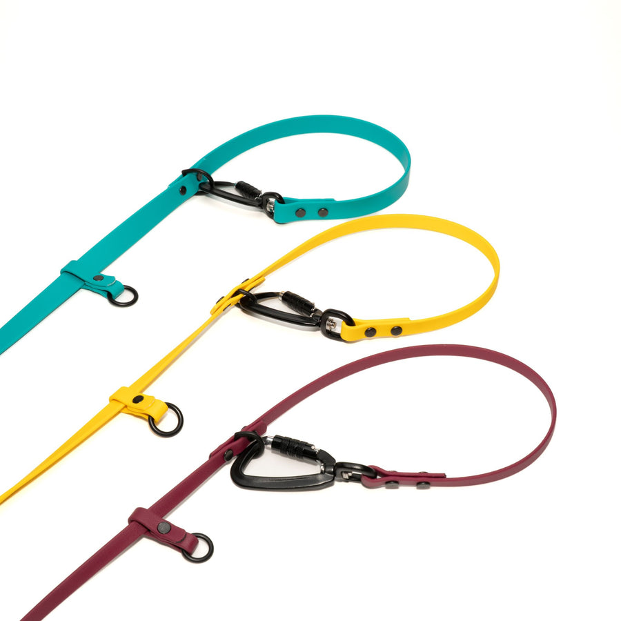 three biothane hands free dog leashes of various sizes on white background