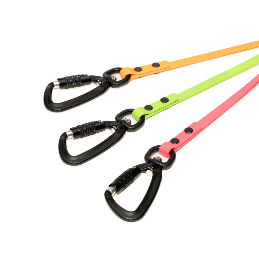 three biothane leashes close up on black carabiner hardware on white background